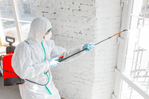 Best Asbestos and Lead Testing During Mold Inspection in Galax, VA